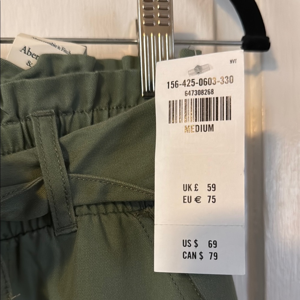 NWT Abercrombie & Fitch Green Elevated Joggers with Relaxed Fit - Picture 2 of 5